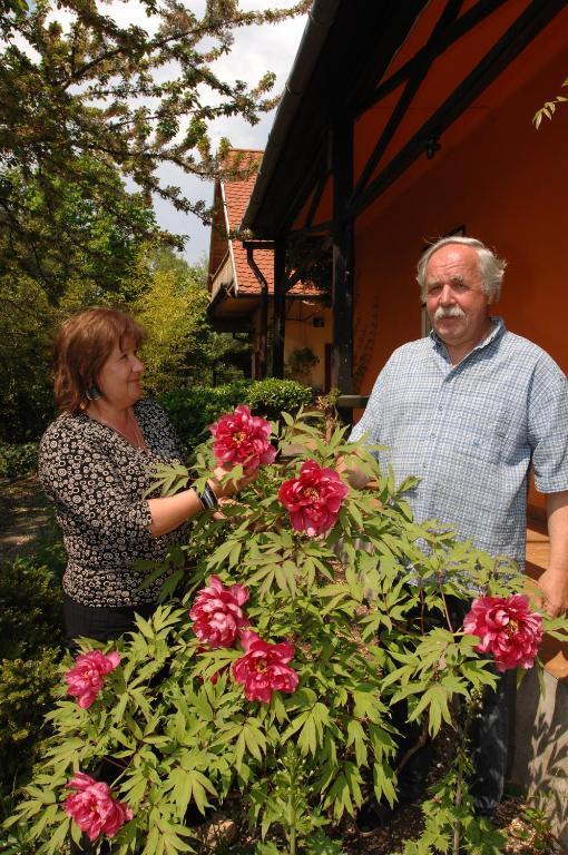 Garten Vendeghaz Έγκερ Εξωτερικό φωτογραφία