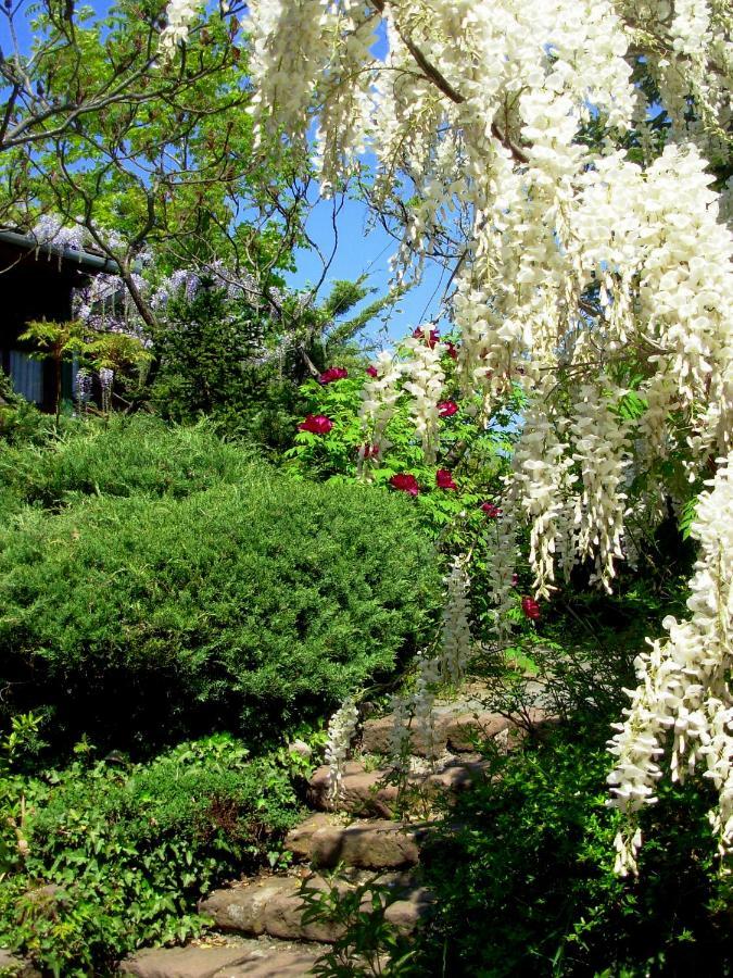 Garten Vendeghaz Έγκερ Εξωτερικό φωτογραφία
